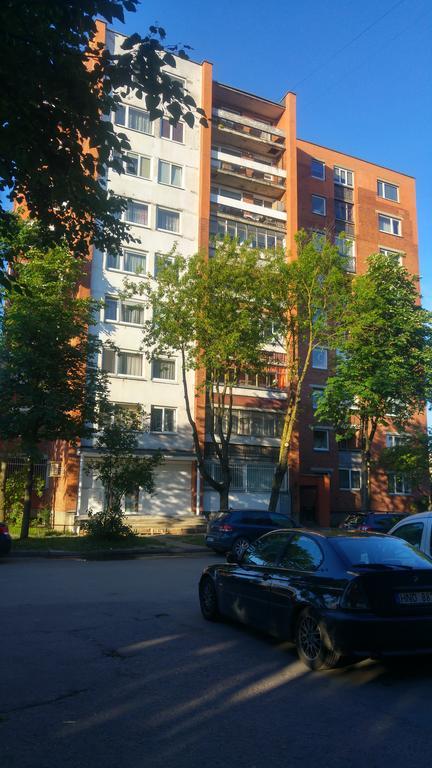 Gina'S Apartment Partizanu G カウナス エクステリア 写真